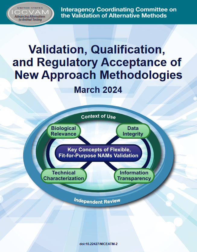 171204726728078304.png 171204726728078304.png